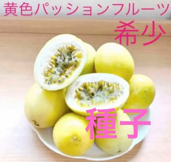 黄色パッションフルーツの種子25粒　沖縄産