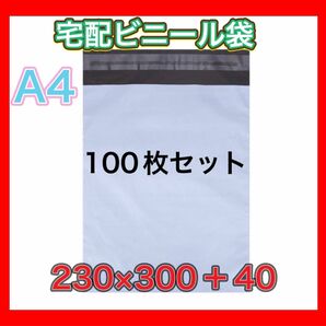 a4 テープ付き 梱包 宅配ビニール袋 宅配ビニール袋 ゆうパケット