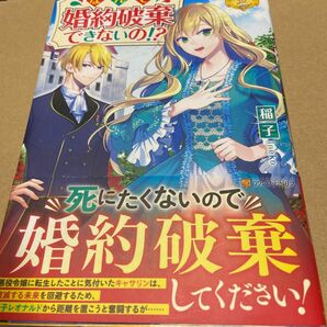 なんで婚約破棄できないの！？ （レジーナブックス） 稲子／〔著〕