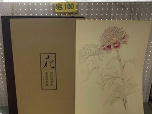 3-▲大野俶崇素描集 花 大版額装用 全30葉揃い サイズ約54×39cm 限定680部の内607番 昭和52年10月25日 1977年発行 汚れあり 秩破れあり