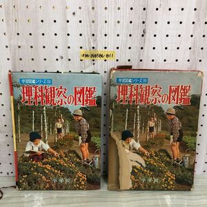 1▼ 学習図鑑シリーズ 23 理科観察の図鑑 小学館 函破損あり 昭和42年3月20日 8版 発行 1967年 本田正次 井上勉 両角亮治