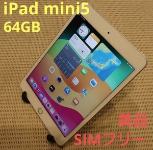 国内版SIMフリー美品iPad mini5(A2124)本体64GBシルバー完動品動作確認済み1円スタート送料無料