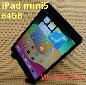 iPad mini5(A2133)本体64GBグレイWi-Fiモデル完動品動作確認済み1円スタート送料無料