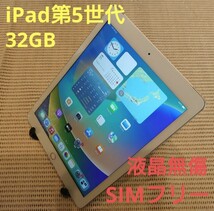 国内版SIMフリー液晶無傷iPad第5世代(A1823)本体32GBシルバー完動品動作確認済み1円スタート送料無料_画像1