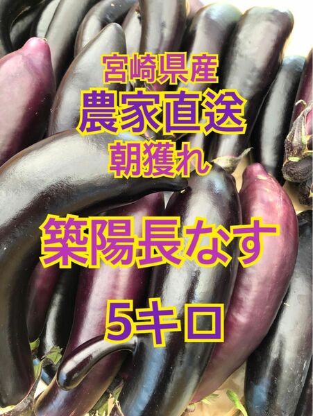 野菜　ナス　5キロ　宮崎県産　築陽長なす