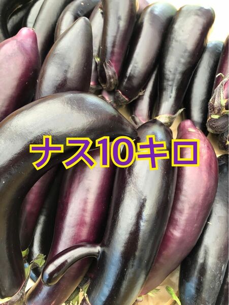 野菜　ナス　10キロ　宮崎県産　築陽長なす