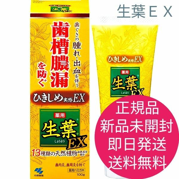 正規品　新品　未開封　生葉EX　即日発送　送料無料