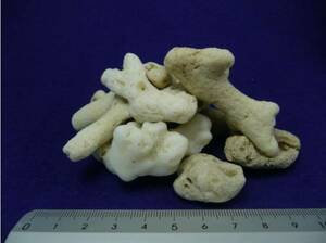 new goods * natural coral sand #25( approximately 25mm)20kg< bottom sand * filter media * appreciation for >