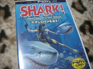 PCゲームソフト　ゲームファン「 SHARK! ホオジロサメを追え!」中古美品