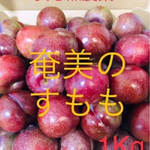 【世界遺産の島より】奄美大島産 プラム すもも