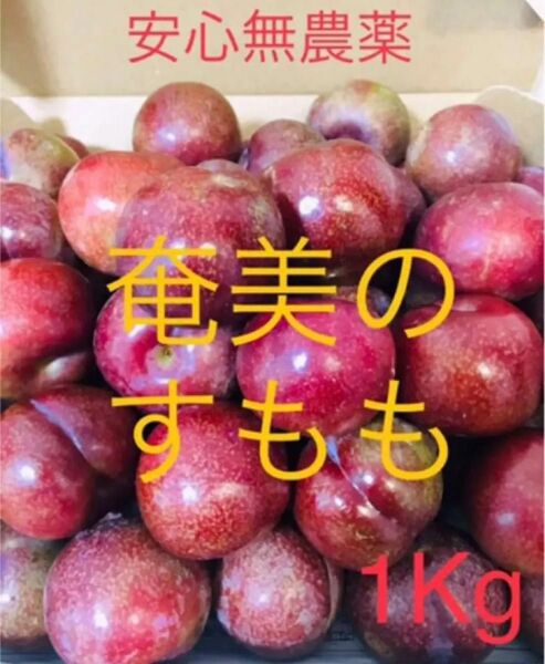 【世界遺産の島より】数が少ないのでお早めに！奄美大島産 プラム すもも