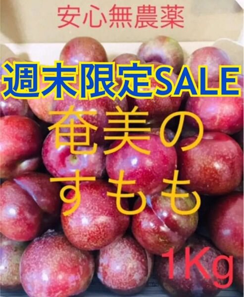 【日曜までのSALE】奄美大島産 プラム すもも