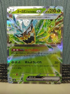 ポケモンカード オーガポン みどりのめんex みどりのまい 草ポケモン ポケカ まんようしぐれ