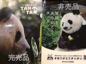 王子動物園　タンタンクリアファイル2枚