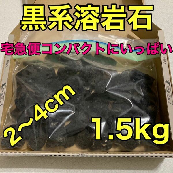 溶岩石 黒系 1.5kg アクアリウム低床 ろ材 観葉植物 多肉植物 水槽レイアウト 盆栽