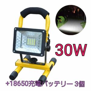 ポータブルLED照明ライト投光器(30W) LED Flood Light