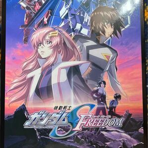 劇場公開記念パッケージガンダムSEED FREEDOM HG デスティニーガンダム SpecII クリアカラー