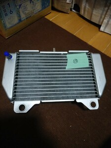 NSR 50 80 mini Bick radiator bolt on has processed .⑱