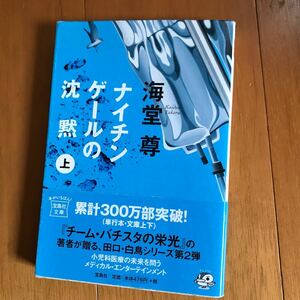 101a ナイチンゲールの沈黙 上/海堂 尊