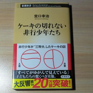 ケーキの切れない非行少年たち （新潮新書　８２０） 宮口幸治／著