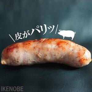 粗挽き生サルシッチャ500ｇ (5本入) 冷凍 本場イタリアに負けない肉汁たっぷり 黒豚 島豚 国産豚肉 ソーセージ ウィンナー