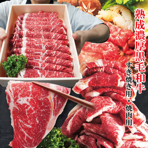 嬉しいギフト 送料無料 熟成濃厚黒毛和牛500gすき焼き・焼肉カルビ用選べるたっぷり 3人前 赤身 国産牛 霜降り リブロース お歳暮 お中元