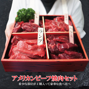 贈答品 牛肉焼肉カルビ食べ比べ4点盛り合わせ500ｇ冷凍 2セット同時購入で肉500ｇ増量中 赤身からジュージなカルビまで