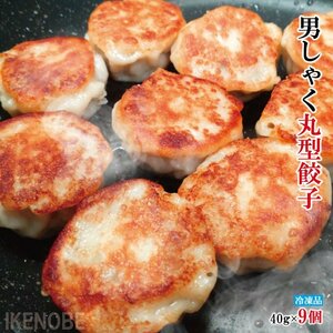 名物男しゃく丸型餃子約40gx9個冷凍 丸型 ぎょうざ ギョウザ 中華