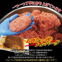 ハンバーグ和風オニオンソース入 150g×1個　冷凍 要加熱商品　調理簡単仕様　【ハンバーグ】【チーズ】【煮込み】【ステーキ】_画像3