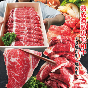  pleasant gift free shipping ... thickness black wool peace cow 500g.. roasting * yakiniku galbi for is possible to choose enough 3 portion lean domestic production cow ... rib roast year-end gift Bon Festival gift 