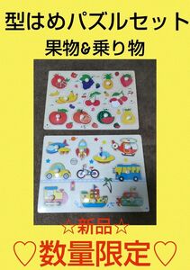 新品未使用 型はめパズル 果物 乗り物 知育玩具 セット 数量限定