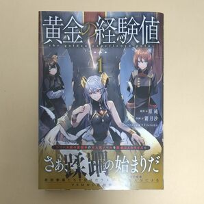 黄金の経験値　１巻