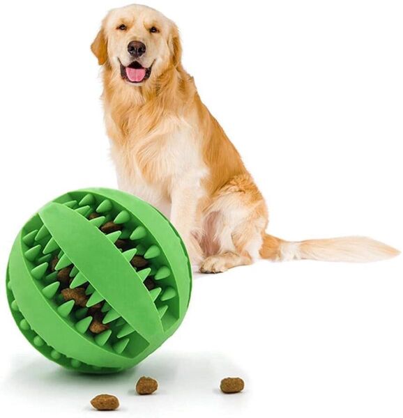 犬 おもちゃ 犬 ボール 犬用 玩具ボール おやつボール 噛むおもちゃ グリーン