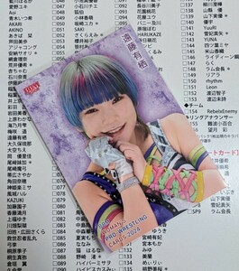 ★BBM女子プロレスカード2024★遠藤有栖★レギュラーカード シークレット版★パラレル