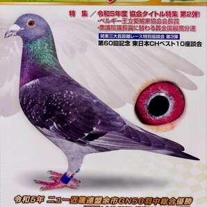 レース鳩 2023年 9月 日本レース鳩協会 THE RACING PIGEON 雑誌 鳩 ハトの画像1