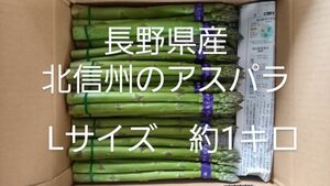 今が旬　信州産アスパラガス