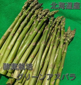 北海道産　酵素栽培　訳ありグリーンアスパラ　2kg