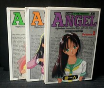 ☆【送料無料】ANGEL エンジェル 全3巻 遊人 小学館 完結 ヤングサンデー (校内写生 桜通信)_画像1