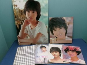 Ｃ16／【松田聖子 木製ポスター パネル/写真集/週刊明星フォト・シリーズ愛・松田聖子など他まとめて計6点】当時物/昭和アイドル