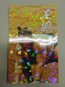 大相撲コレクション　王鵬　限定ステッカー　大相撲カード