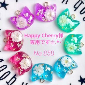 Happy Cherry様専用です レジンパーツ♪