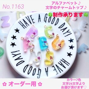 制作承りますNo.1163アルファベット♪チャームトップ♪文字とカラーお選び下さい♪推しカラー♪イニシャル