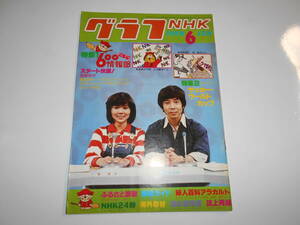 雑誌 グラフNHK 昭和53年6月 1978 389 こちら600情報部 レンセンブリンク ジーコ グラジアーニ W杯アルゼンチン FIFAワールドカップ