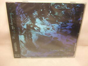 未開封品CD★送料100円★Awakening the 4 Ray　VELGREED　ベルグリード　　２０１０年 ８枚同梱ＯＫ