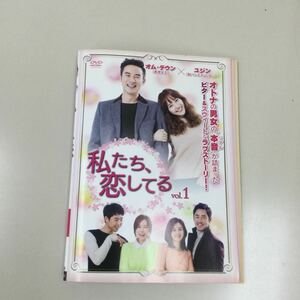 0490 私たち、恋してる　全12巻　レンタル落ち　DVD 中古品　ケースなし　ジャケット付き