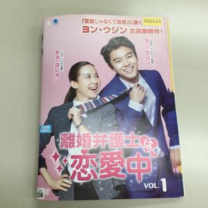 0469 離婚弁護士は恋愛中　全11巻　※ジャケット破れあり　レンタル落ち　DVD 中古品　ケースなし　ジャケット付き