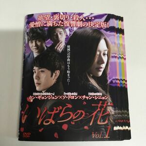 04114 いばらの花　全40巻　レンタル落ち　DVD 中古品　ケースなし　ジャケット付き