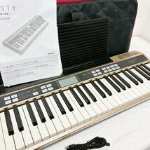 美品 Roland ローランド JUSTY HK-100 キーボード 練習用_画像4