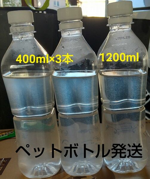 ゾウリムシ　1200ml　　メダカ　めだか　金魚　らんちゅう　ミジンコの餌に…　