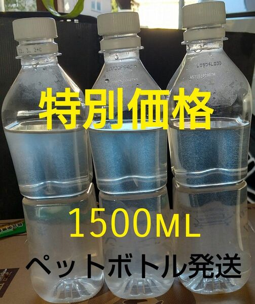 ゾウリムシ　1500ml。　メダカ　めだか　金魚　らんちゅう　ミジンコの餌に…　